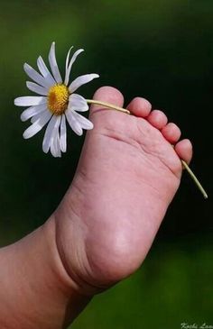 a baby's foot with a flower in it