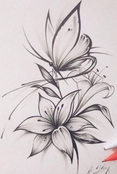 a pencil drawing of flowers and butterflies