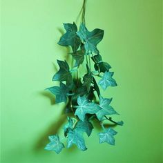 a plant with green leaves hanging from it's stems against a green wall,