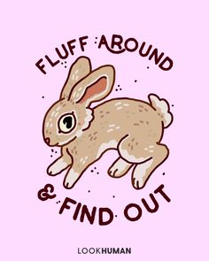 Kawaii, Flash Art, Cute Illustration, Kawaii Bunny, Cute Art, Random, Gatos
