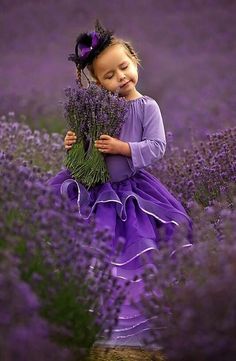 Twitter Photography, Children Photography, Lovely Lavender, Photos, Flowers Photography, Beautiful, Beautiful Flowers, Picture