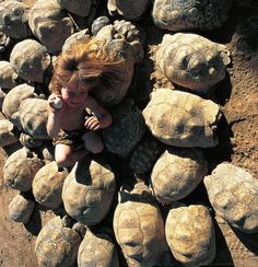 a woman sitting on top of a pile of tortoises in the dirt next to each other