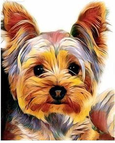 Dog Art, Yorkshire Puppies, Dog Paintings