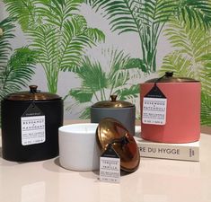 Collection Hygge - Paddywax Planters, Plants, Collection, Arty, Planter Pots