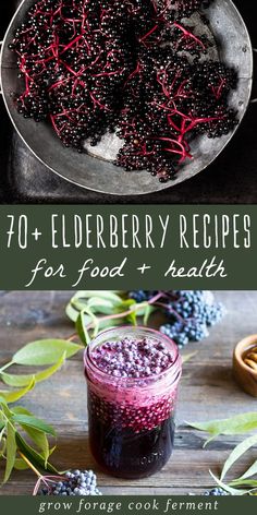 elderberry recipes for food and health with text overlay that reads, 40 elderberry recipes for food and health grow force cook ferment