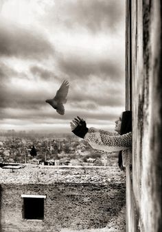 a black and white photo of a woman looking at a bird flying over her head