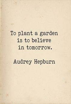 Wisdom Quotes, Plant Quotes Life Inspiration Thoughts, Gardening Quotes Inspirational, Plants Quotes