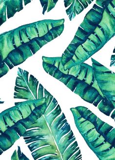 "Banana Leaf" metal poster by Uma Gokhale #greenery Canvas Art, Tapestry, Wall Tapestry, Orange Canvas Art, Tropical Glam, Canvas Prints, Tropical