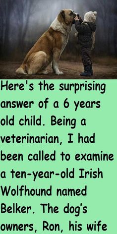 Dog Stories, Irish Wolfhound, Wolfhound, Dog Quotes Love