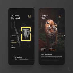 UI&UX design inspiration в Instagram: «Threatened Species - Mobile App Designed by: Julien Brion #adobexd #darkui #uxdesign #minimal #userinterface #uidesign #userexperience…» Mobile App Ui, Ui Ux, Mobile Ui Design