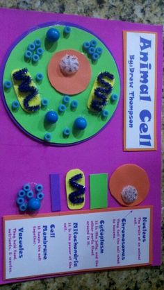 an animal cell made out of plastic beads and magnets on top of a purple board