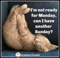 a cat is laying down on its back with it's paws in the air and text that reads, i'm not ready for monday, can i have another sunday?