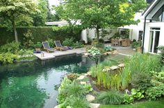 an outdoor swimming pool surrounded by lush green plants and trees, with lounge chairs on the deck
