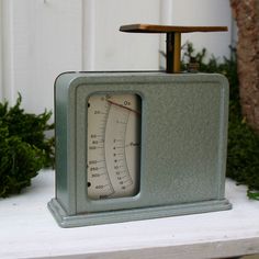 an old fashioned thermometer sitting on top of a white shelf next to a tree