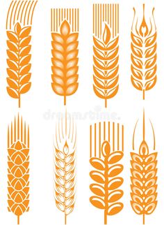 Crafts, Croquis, Design, Wheat Vector, Wheat Design, Free Vector Graphics, Vector Design, Vector Free