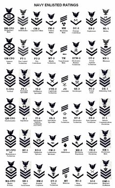 Navy Enlisted Ranks, Navy Enlistment, Us Navy Uniforms, United States Navy, Navy Insignia, Navy Veteran, Navy Ranks