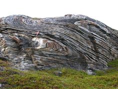 pictures from northern Norway of tight folding in metamorphosed sediments, provided by Stephen Daly Lofoten, Norte, Landforms, Rock Formations, Geology Rocks, Sedimentary Rocks, Rocks And Minerals, Flood, Fold Geology