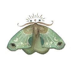 a drawing of a green butterfly with an ornate design on it's back end