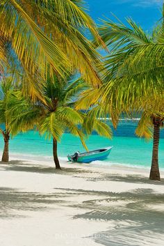 Dominican Republic Caribbean, Bayahibe Dominican Republic, Tropical Beaches