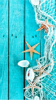 starfish and shells on blue wood background