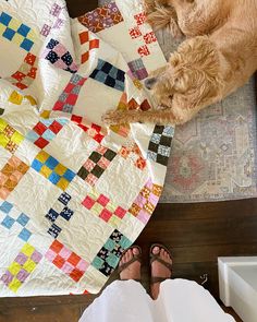 a dog laying on the floor next to a quilt
