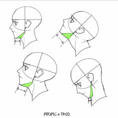 how to draw the head and neck of a man in three different angles, from top to bottom
