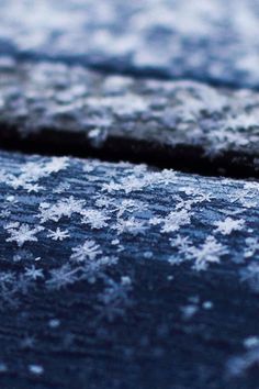 snow flakes on the surface of a bench