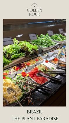 an image of a buffet with salads on it