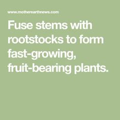 Fuse stems with rootstocks to form fast-growing, fruit-bearing plants. Organic Gardening, Plants, Growing Fruit, Fast Growing, Stems, Growing