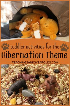 We use lots of hands-on ideas with our toddler hibernation activities. A cave they can actually crawl into, caves they can build with arch blocks, bears and loose parts in the sensory bin. It creates a very meaningful environment that they love! #toddler #hibernation #bears #caves #winter #science #dramaticplay #activities #2yearolds #classroom #homeschool #teaching2and3yearolds Caves, Sensory Activities Toddlers, Habitat Activities, Montessori Toddler Activities
