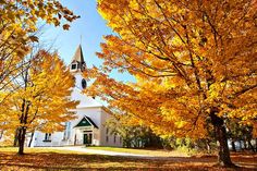 a church surrounded by trees with yellow leaves on the ground