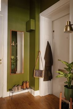 a hallway with green walls and wooden flooring next to a potted plant in the corner