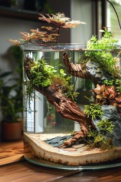 an aquarium filled with plants and rocks on top of a wooden table