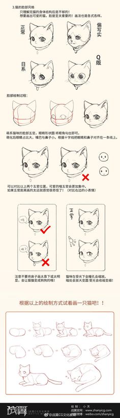 the instructions for how to draw cats in different positions and sizes, including their eyes