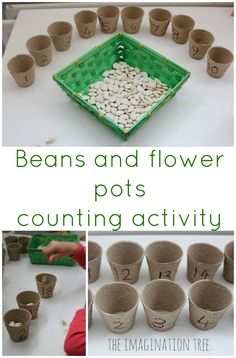 Beans and flower pots counting activity Sorting Activities, Preschool Garden, Early Years Maths, Spring Preschool, Garden Activities, Activities