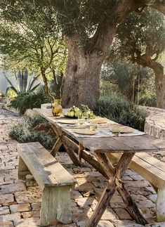 a picnic table set with plates and glasses under a large tree in the middle of a stone patio