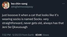 a tweet with the caption that reads, i just looove it when a cat that looks like it's wearing socks is named sooks