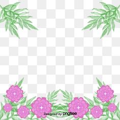 pink flowers and green leaves on a white background, border, frame, flower png and psd