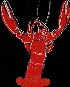 a red lobster in the dark with black background