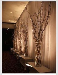 three tall vases with branches in them are lined up against the wall