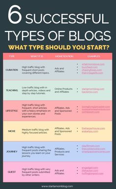 the 6 successful types of blogs and what type should you start? infographic
