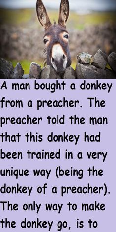 a donkey looking over a stone wall with the words, a man bought a donkey from a preacher