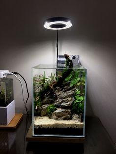 an aquarium with plants and rocks in it on a table next to a small light