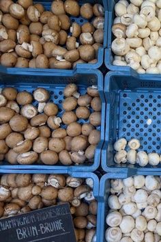 several bins filled with different types of mushrooms