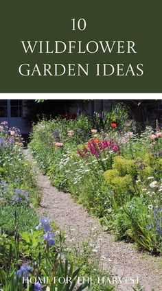 an image of wildflower garden ideas