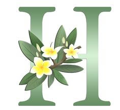 the letter h with flowers and leaves on it's uppercase is shown in green