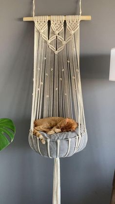 a cat sleeping in a hammock hanging from the ceiling