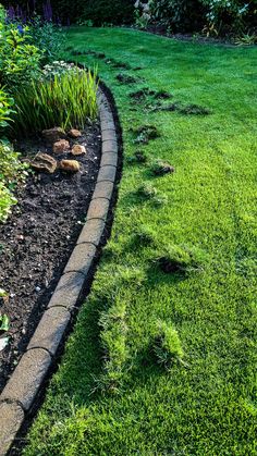 a garden with green grass and rocks in the middle