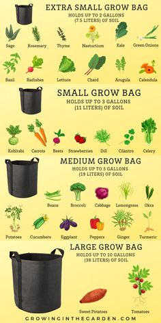 an info sheet showing different types of vegetables and how to use them in the garden