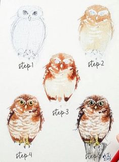 four owls are shown in different stages of their life cycle, with the words step by step written below them